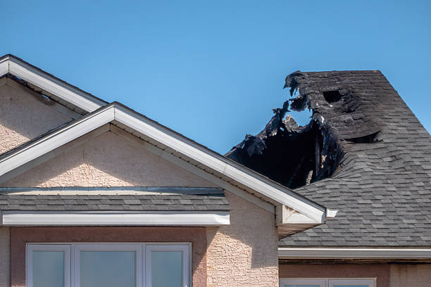 Top rated local Soot Removal specialists in Elko New Market, MN